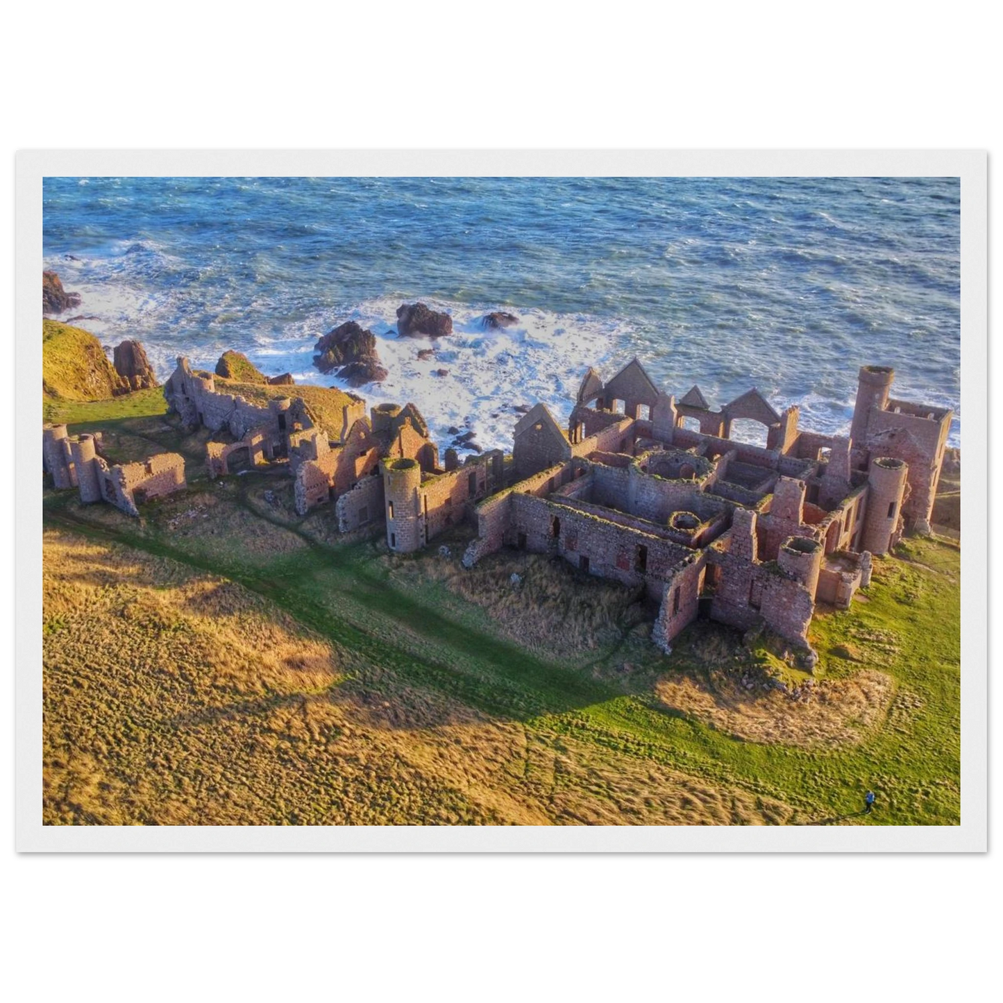 3233c3ee-9dc4-47be-b78a-f8b32b9def71