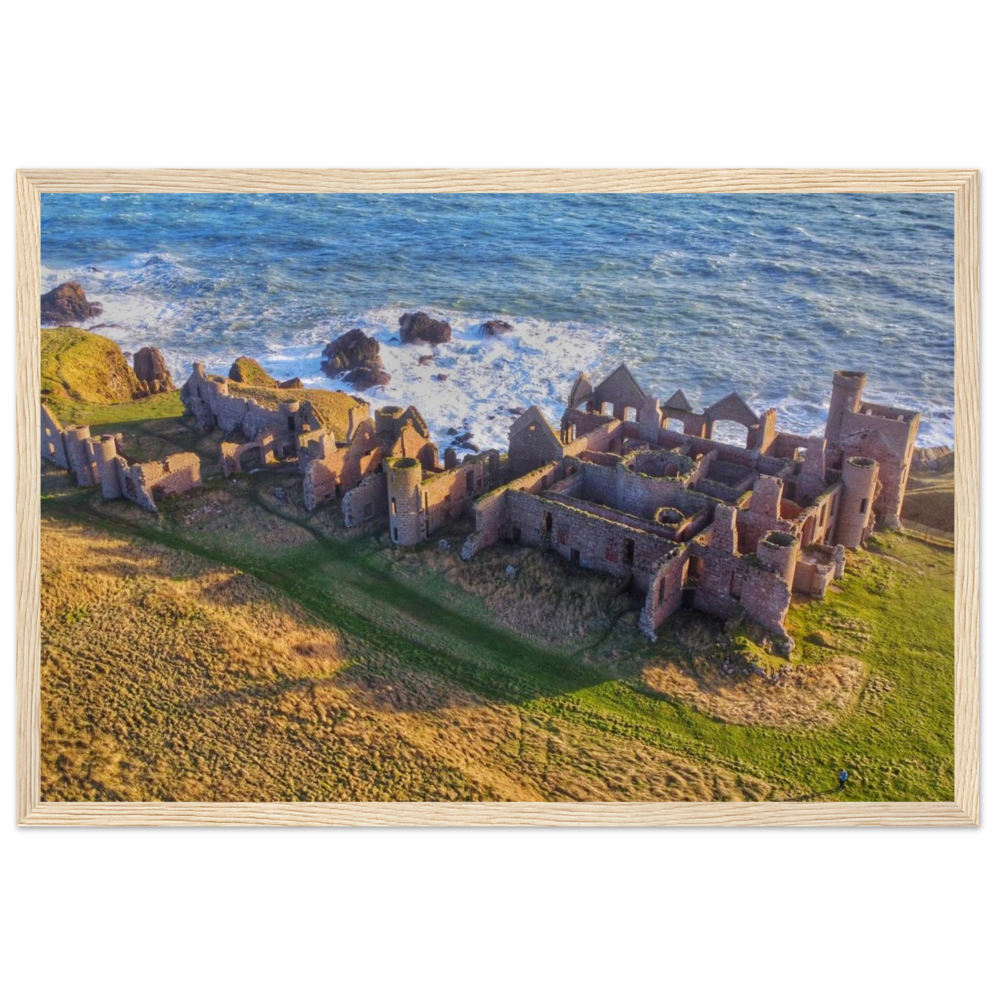 45b67c8f-4e5f-4450-9caf-f33baa8d4ecc