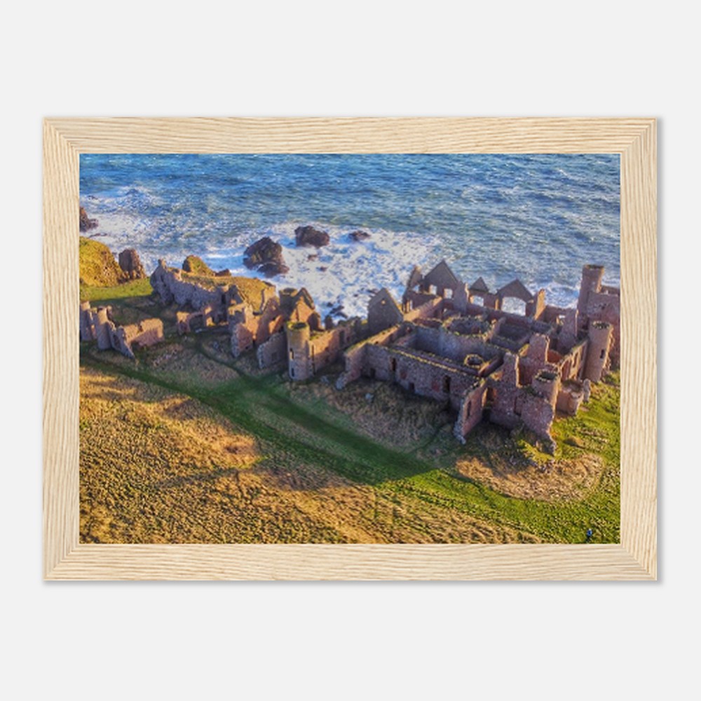 53d298f9-9d9c-467f-8e77-6eda42b21a91