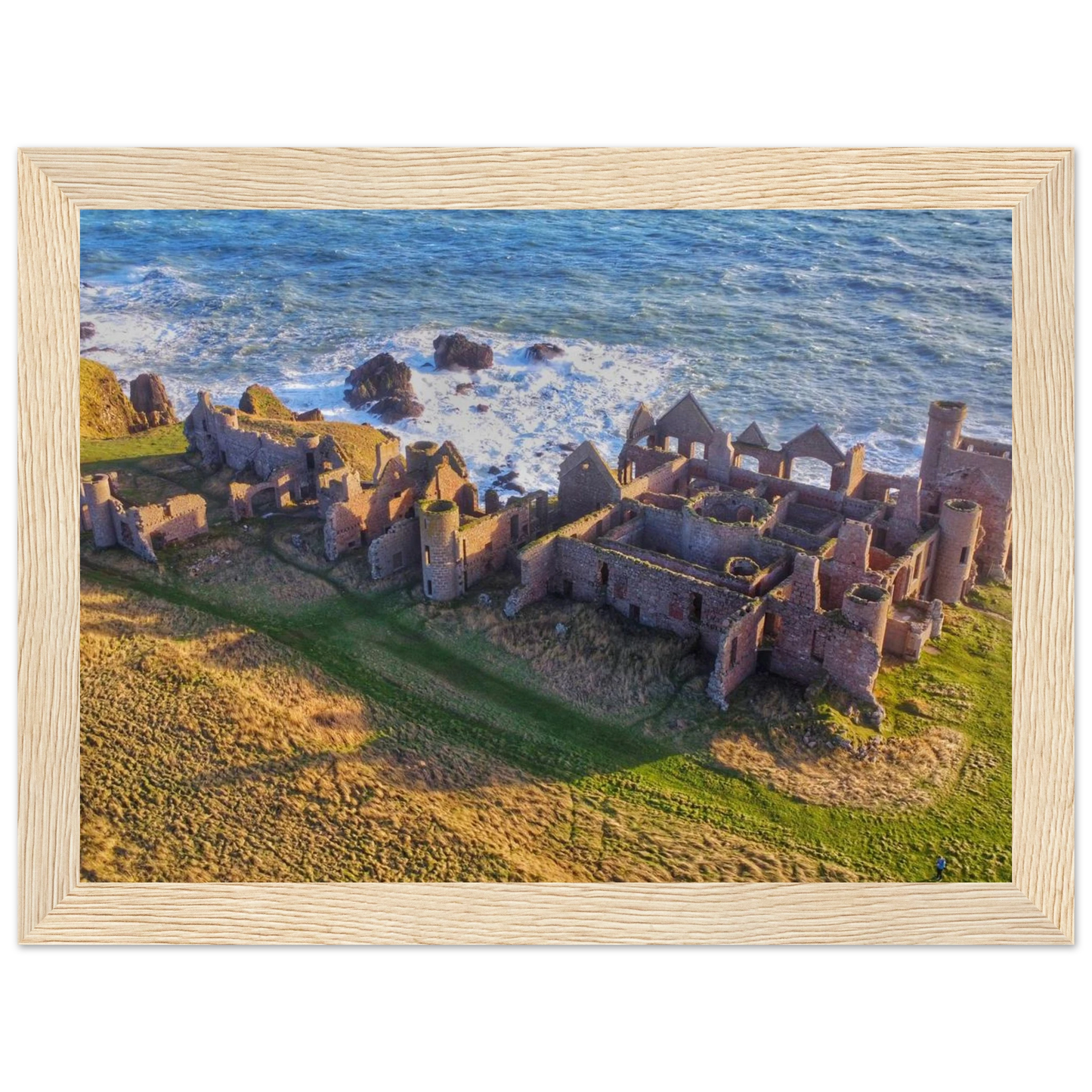 7757b9ea-b9bc-48d1-a9fc-31835e6d43d4