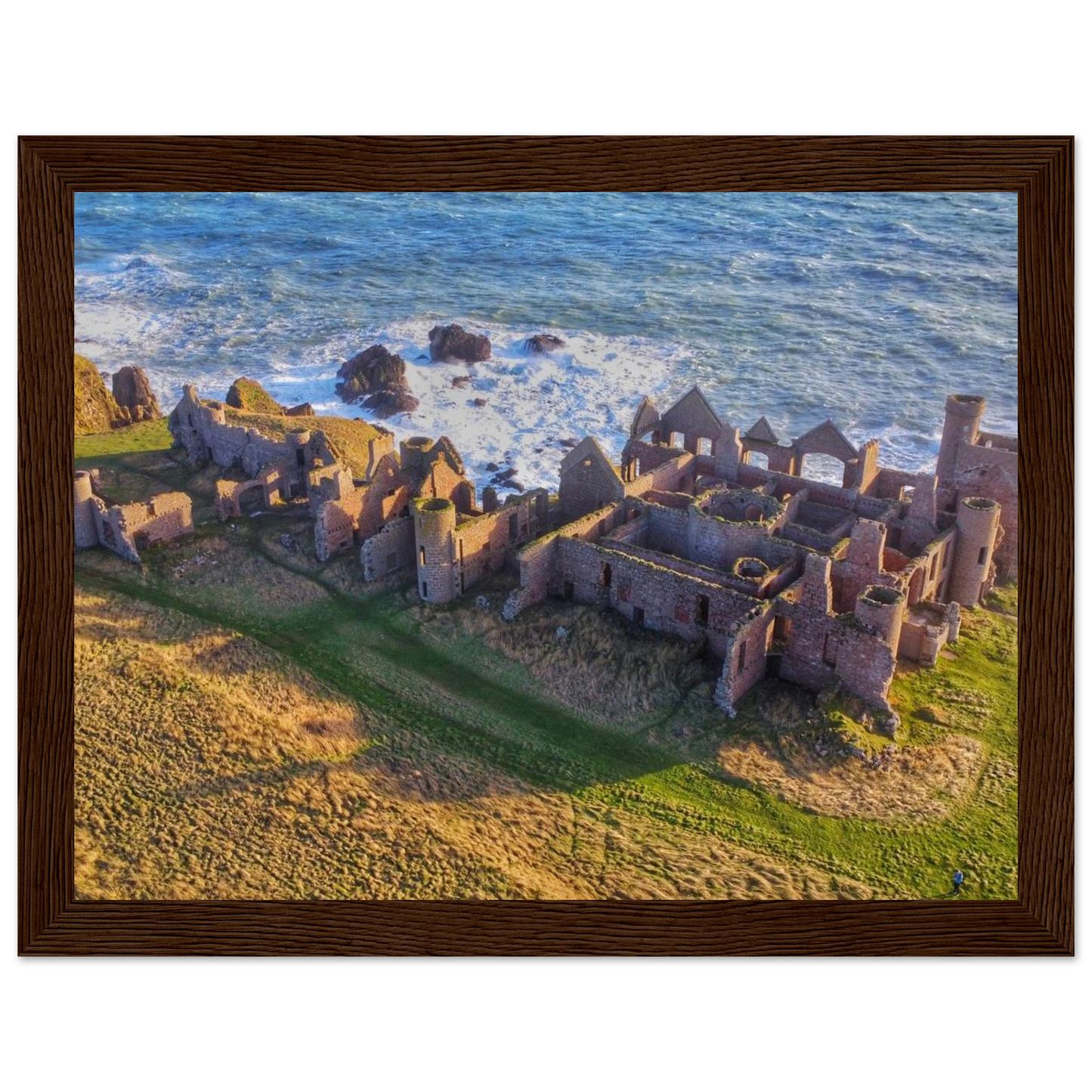 944d7f65-577f-4c67-b6e4-19d6bf8ef186