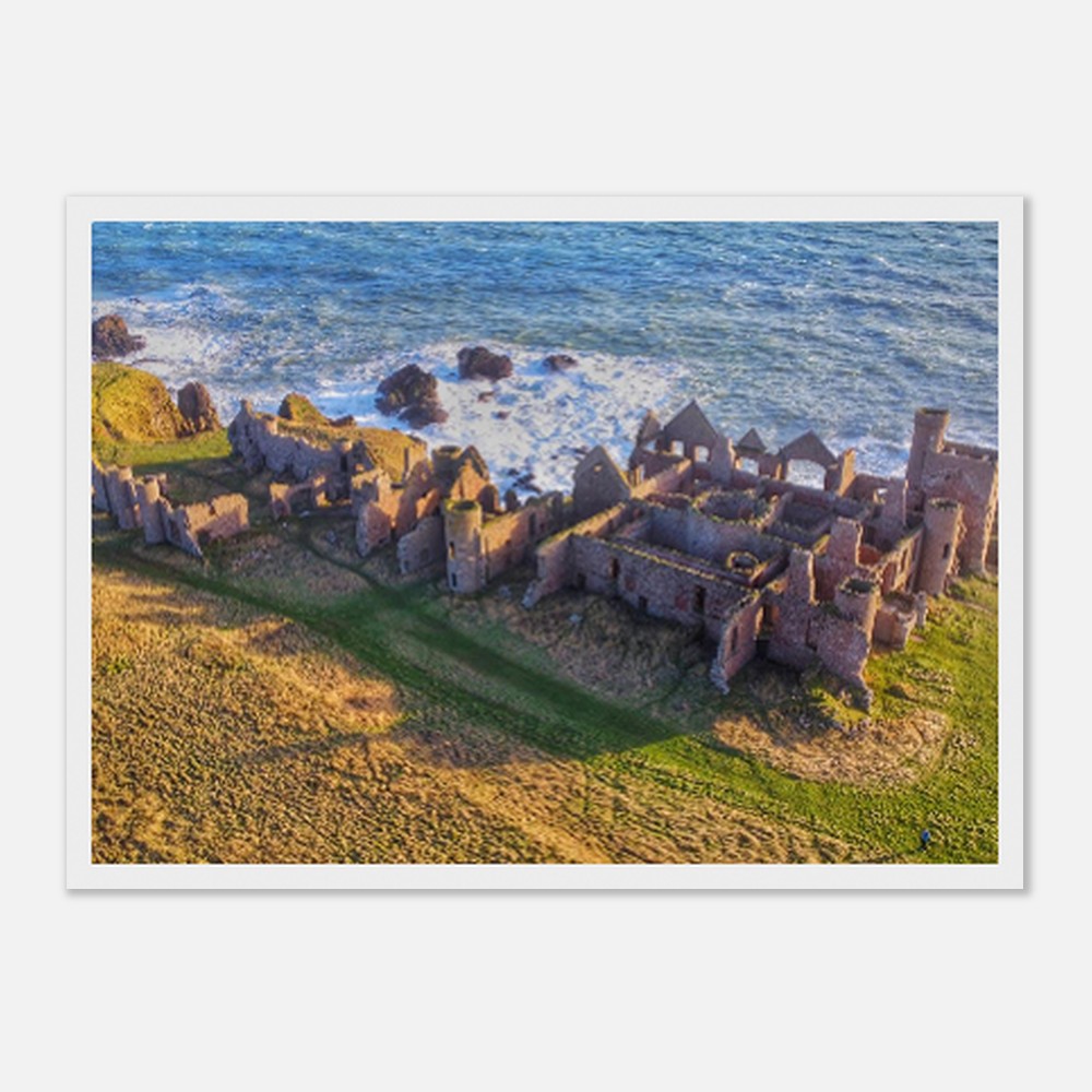 98fb5b5f-6d18-445b-95e0-f7e203a25d7b