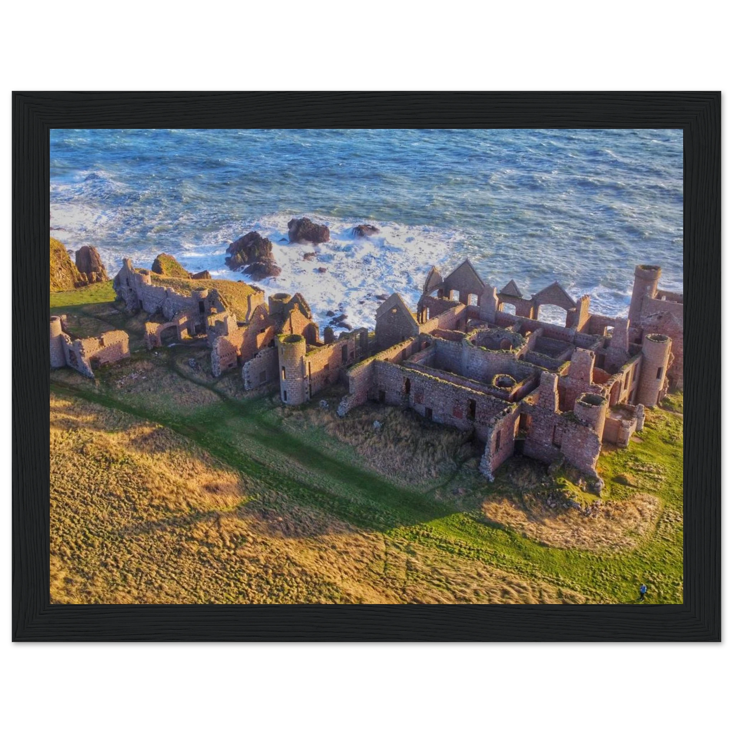 9a39fdaa-661e-4a4f-bf11-a6df34ff9e2b