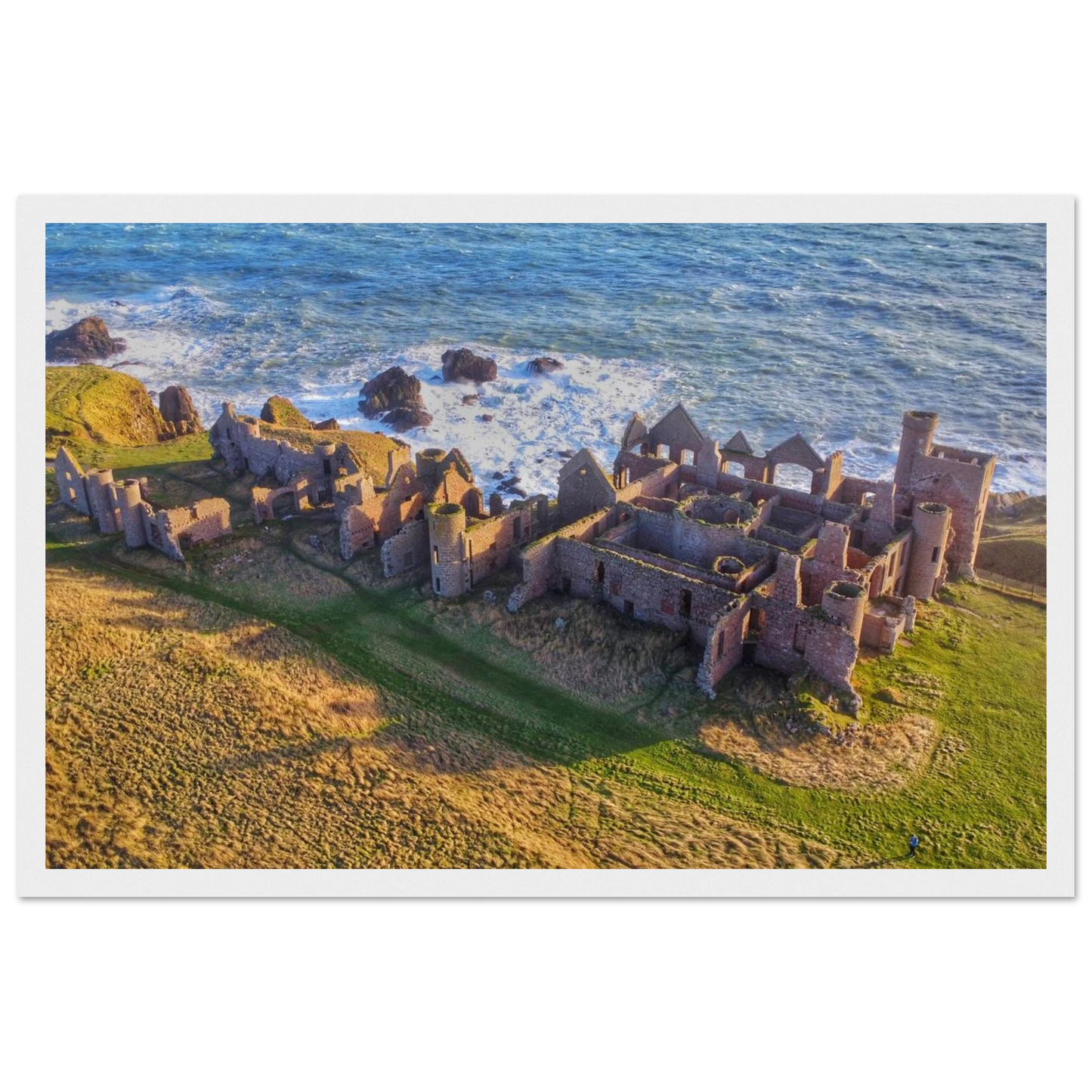 b69f2fc0-e650-4614-b61d-eef02c274fc6