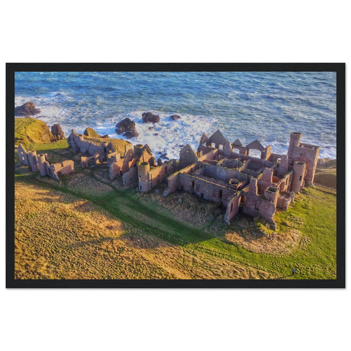 fab39ca0-b2a5-4ef0-8298-a3de13d0f7a0