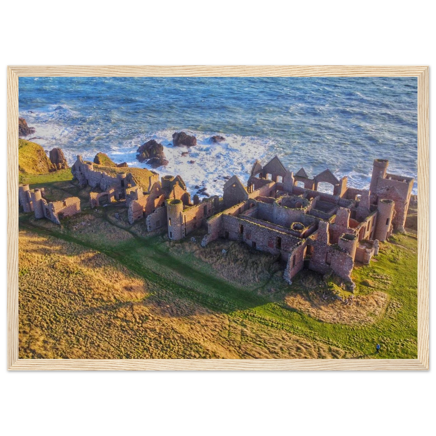 fb8966bd-3dd8-40a4-bf0e-ab6f2c91642f